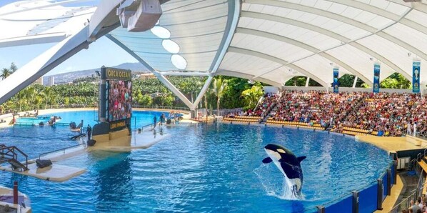 An indoor aquatic show with a pool, seating for spectators, and a large tent structure. - Beatifull Apartament Sea View in pto Cruz (Puerto de la Cruz)