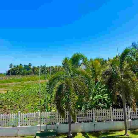 Luxury Double Room, Balcony | Bathroom | Shower, towels, soap, toilet paper