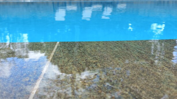 A clear swimming pool with a stone wall and lounge chairs in the background. - Wild Safari Nest Udawalawe  (Udawalawe)