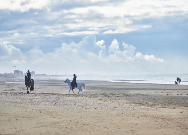 A beach with people riding horses. - Studio in Wenduine Near the Beach (De Haan)