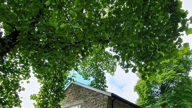 Un bâtiment en pierre avec un toit en pente, une entrée pavée et un portail en métal.
