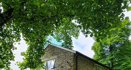 Snowdon Cottage: 300 m from Watkin Path Mt Snowdon
