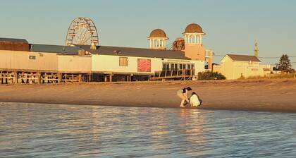 Cozy one bedroom cottage, 50 feet from the beach in OOB.