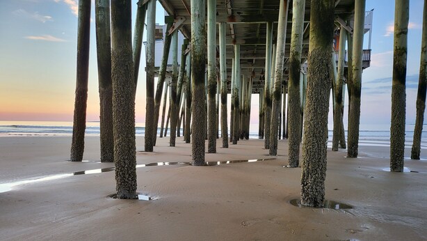 Una playa con una estructura de muelle, que presenta una serie de soportes verticales y un paseo.