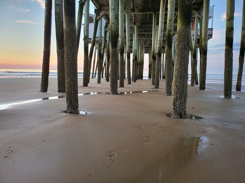 Cheerful 1 bedroom cottage only 50ft from beach