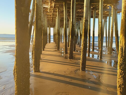 Attractive 1 bedroom cabin only 50 ft from beach