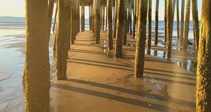 Attractive 1 bedroom cabin only 50 ft from beach