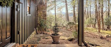 Detalle del exterior