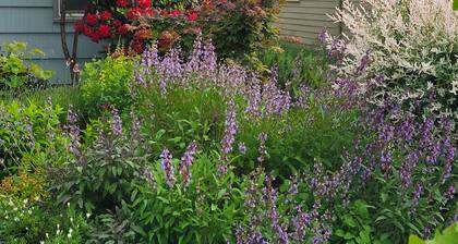 Cozy modern garden studio with WiFi and AC in SE Woodstock Portland