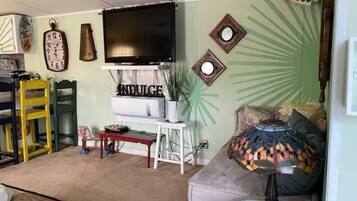 Smart TV, DVD player, books, video library