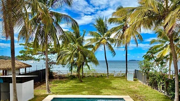 A swimming pool with two red lounge chairs, surrounded by palm trees and a view of the ocean.