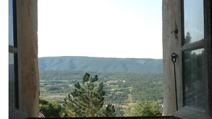 A window with a view of a mountainous landscape and a pine tree.