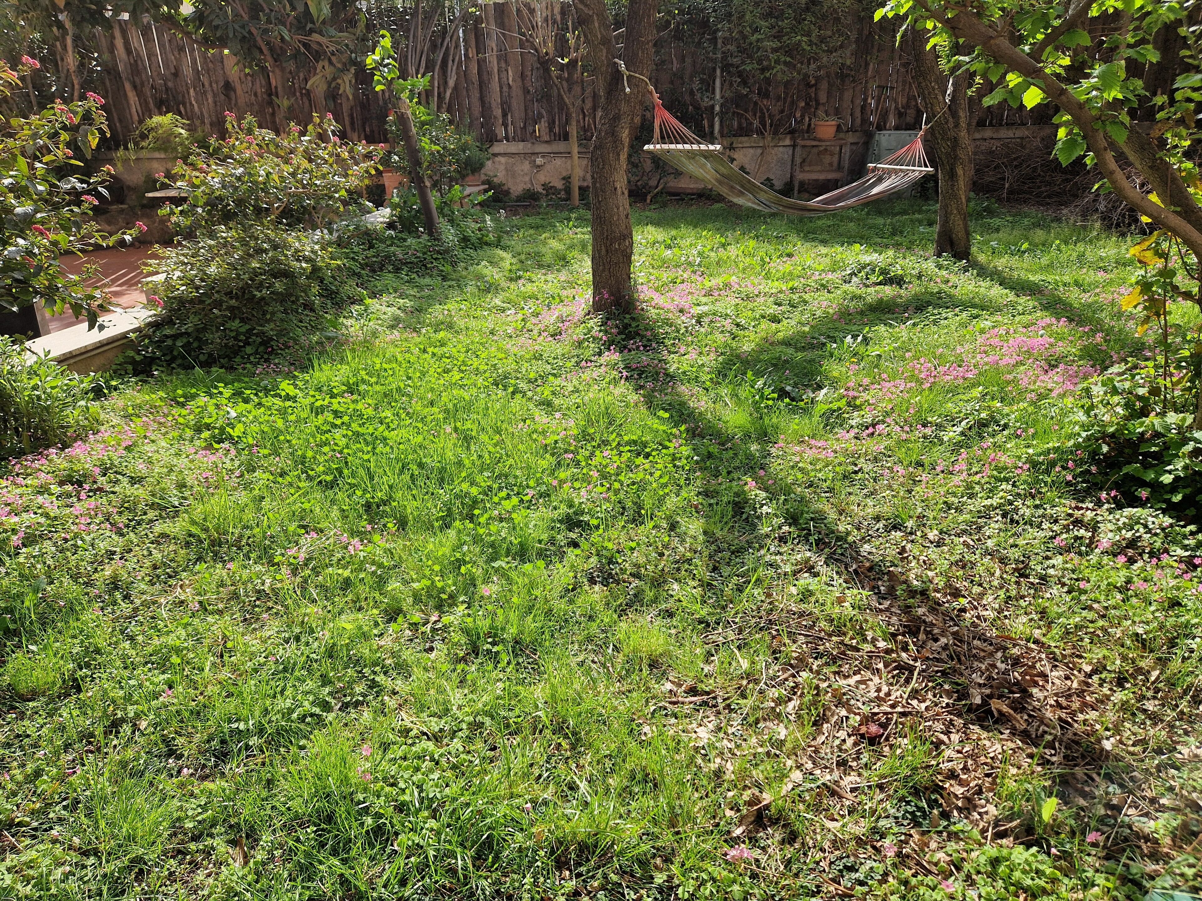 giardino