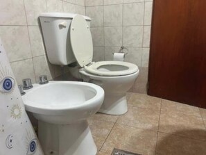 Bidet, towels, soap, toilet paper