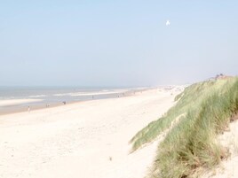 Vista desde la propiedad