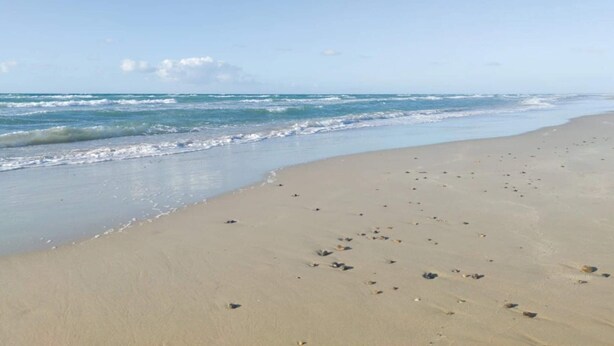 A beach with a sandy shore and waves. - 6 Person Holiday Home in Brovst (Brovst)