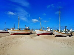 Plusieurs bateaux sont amarrés sur une plage de sable, avec un ciel bleu dégagé en arrière-plan.