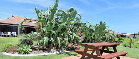 A patio area with a wooden picnic table and lush tropical plants.