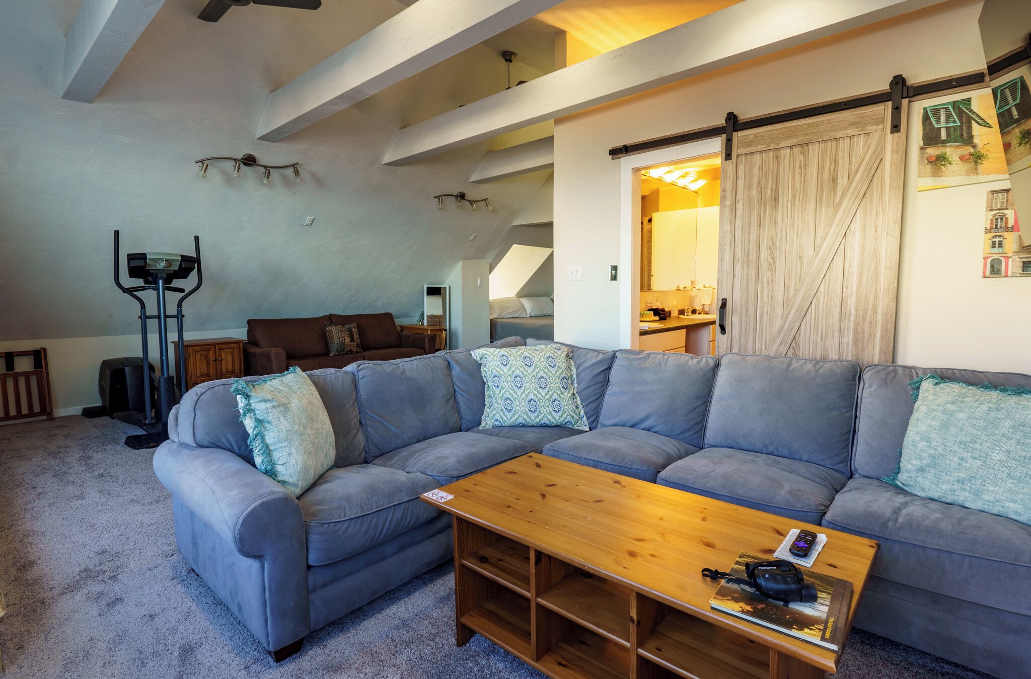 TV connectée, cheminée, livres