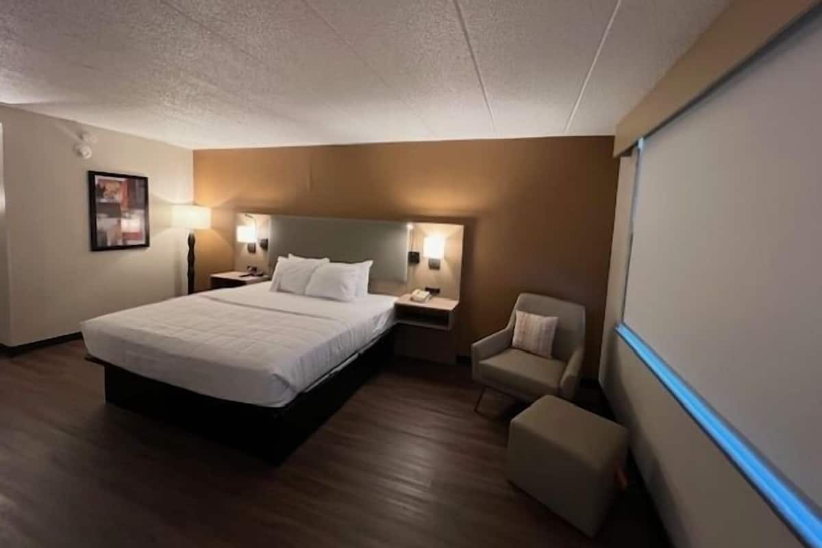 Deluxe Single Room | Desk, free WiFi
