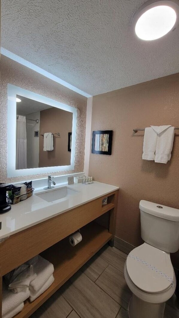 Soap, shampoo, toilet paper - Lansing Delta West Hotel  (Lansing)