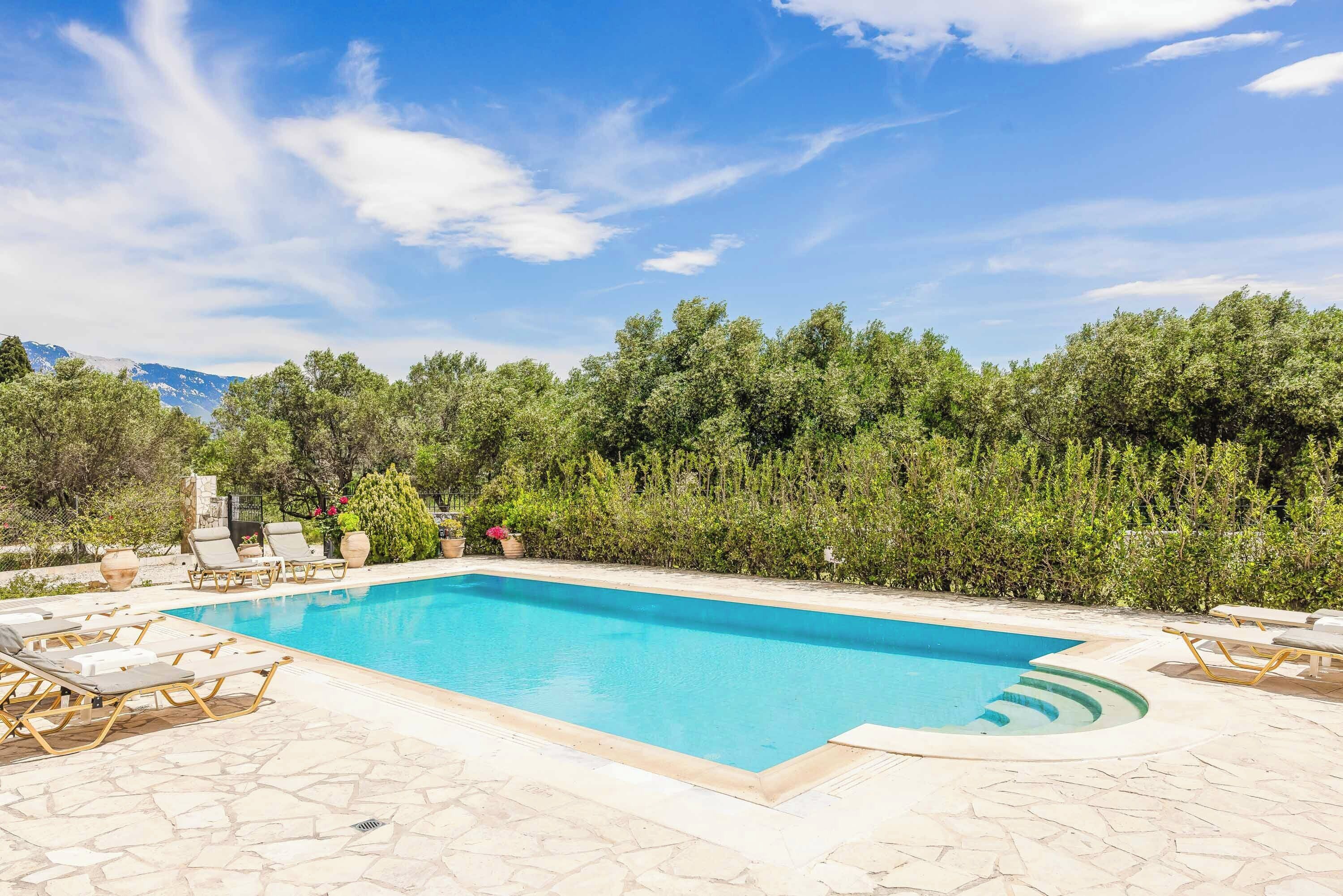 A rectangular swimming pool with a stone deck, surrounded by lounge chairs and greenery.