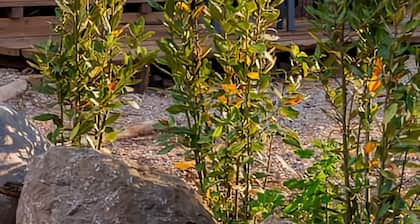 Glamping Castel Dell'Aquila