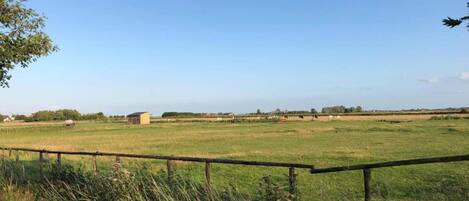 Un paysage rural avec un champ délimité par une clôture, un petit bâtiment et des arbres qui se dressent au loin.