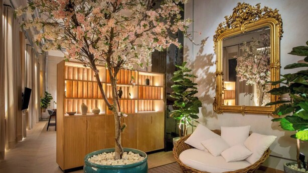 Un área de recepción con un mostrador de madera, un gran árbol en maceta, una silla de mimbre y un espejo con un marco decorativo.