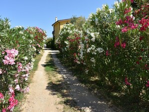 Property grounds - Villa Menhir (Lotzorai)