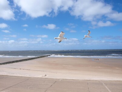 Small feel-good nest in a central location on Norderney