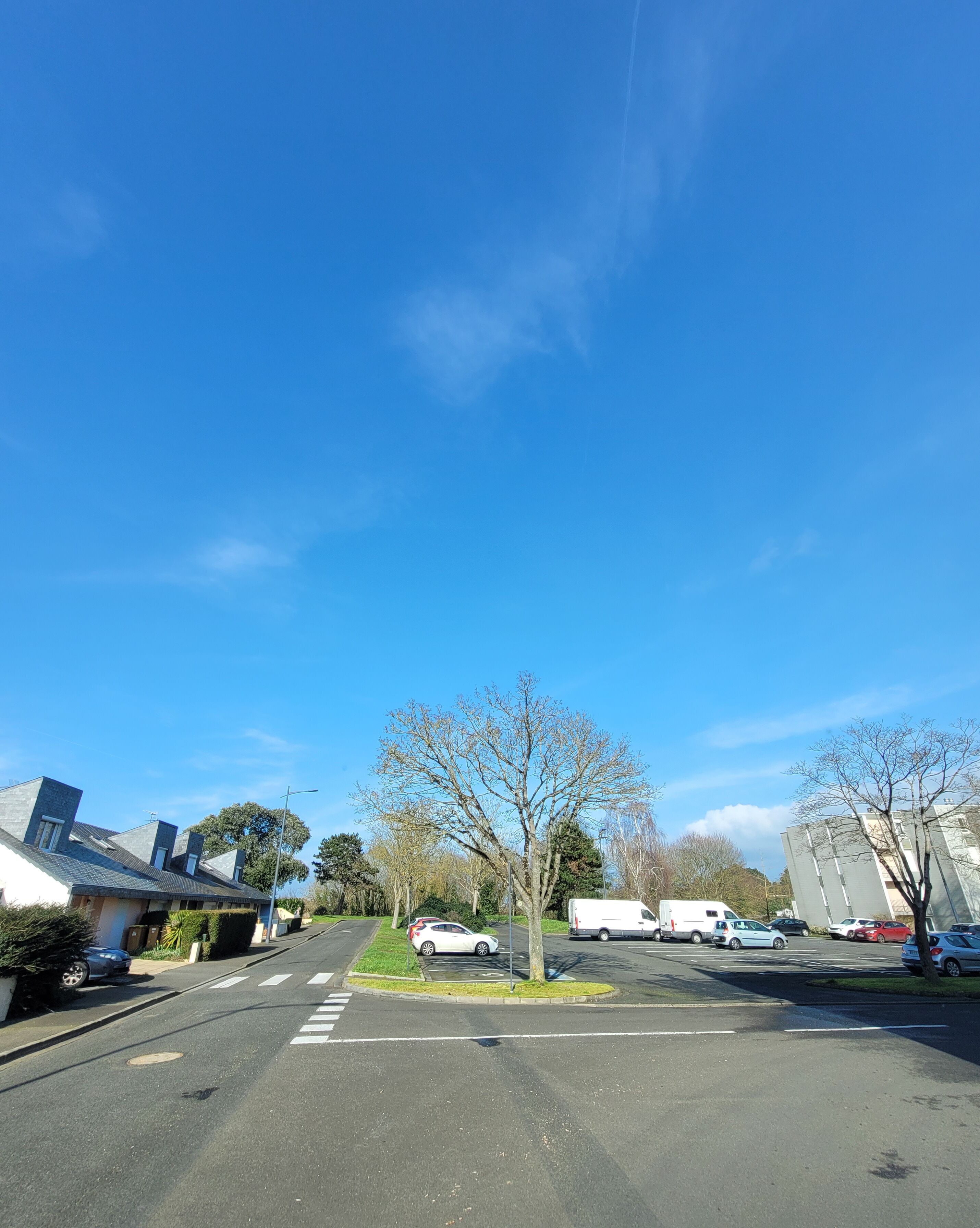 Eine Wohnstraße mit parkenden Autos, blauem Himmel und Häusern mit geneigten Dächern.