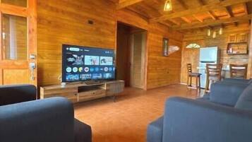 Fernseher, Kamin