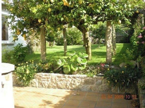 Jardines del alojamiento