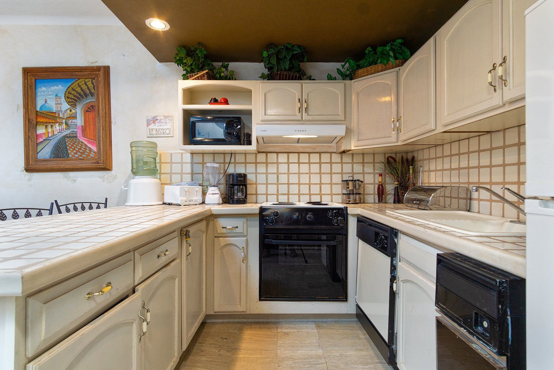 A compact kitchen with white cabinets, a microwave, a stove, and a sink. There are plants on the ceiling and a painting on the wall.