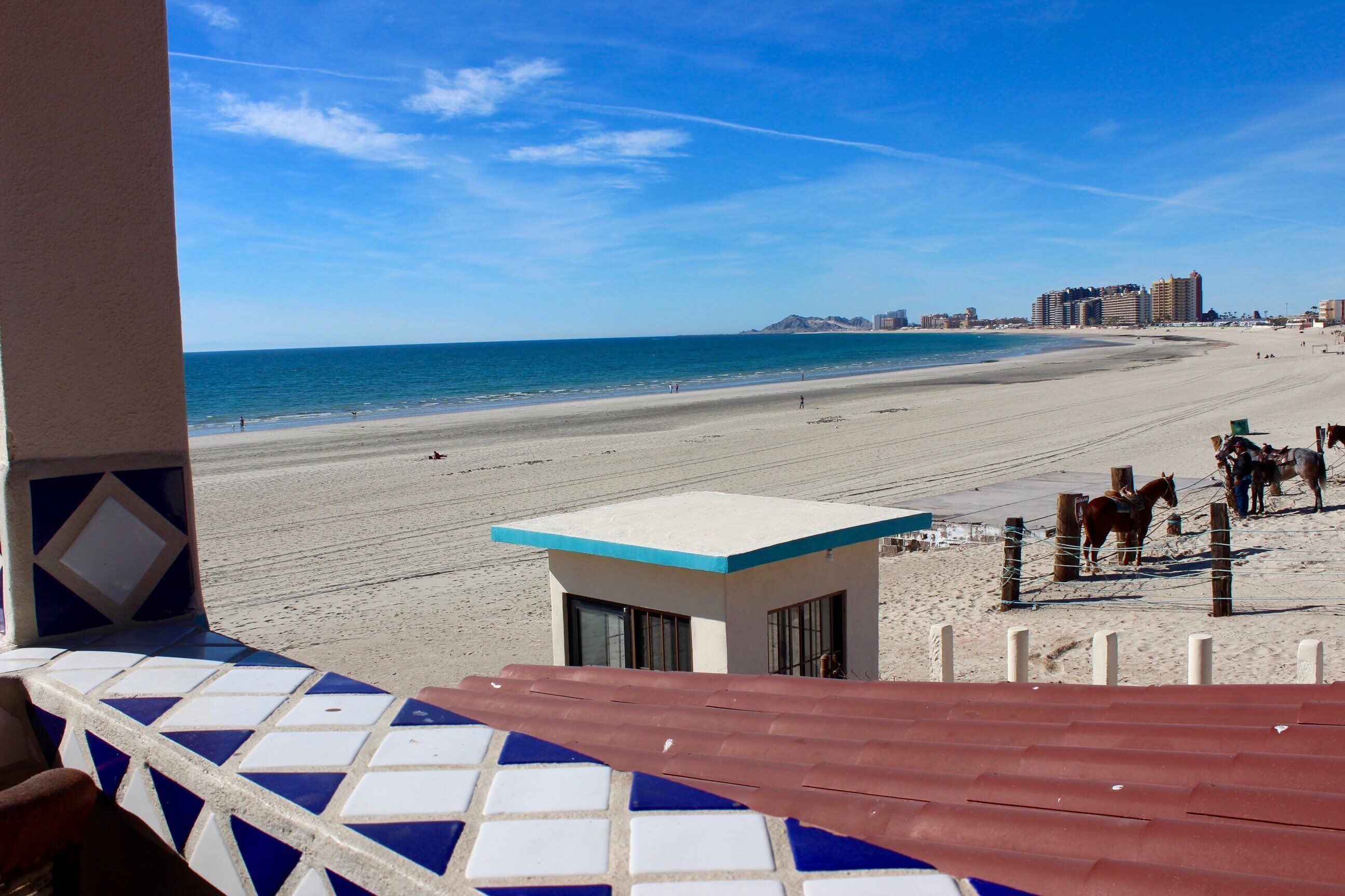 Vista sulla spiaggia con un edificio sullo sfondo, un'area recintata con dei cavalli e un cielo sereno.