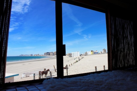 Vista desde la habitación