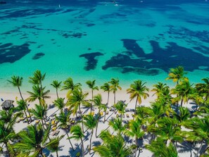 Een strand met palmbomen en helderblauw water.
