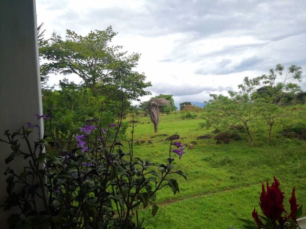 Cabin, 1 Bedroom, Smoking, Balcony | Exterior - Linda Casita (La Cruz)