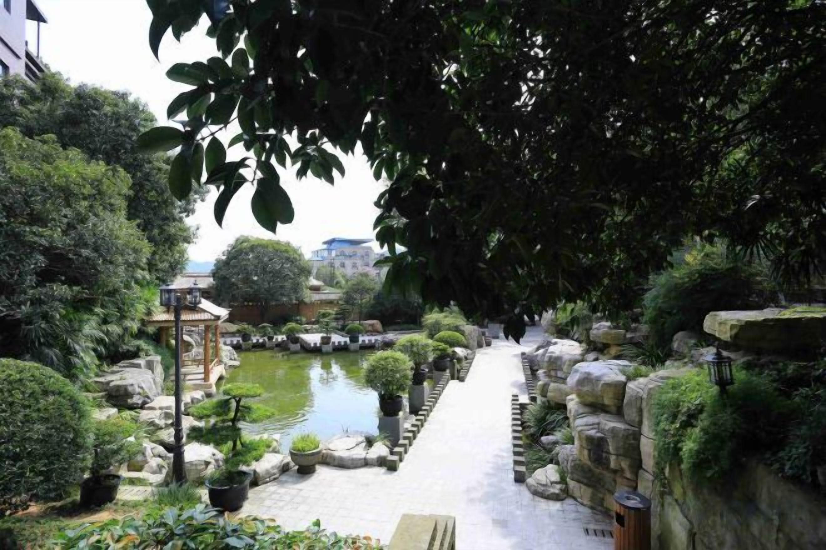 Un jardí tranquil amb un camí de pedra que condueix a un estany, envoltat de vegetació exuberant i plantes en testos.