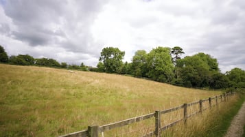 Un campo cubierto de césped, una cerca de madera y árboles al fondo.