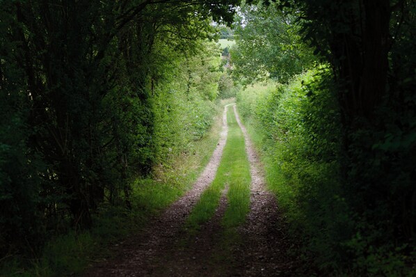 A narrow, unpaved path through a dense forest. - Tring Grange Cottage - Sleeps 2 - Onsite Parking (Tring)