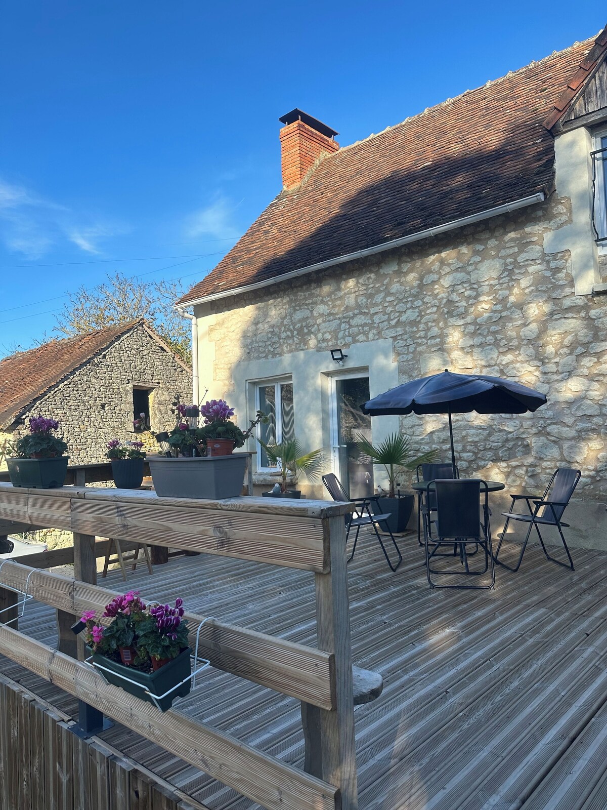 Imagen de perfil del propietario o de la propietaria