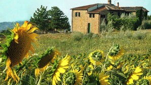Una casa de piedra rústica con techo de tejas, rodeada por un campo de girasoles.