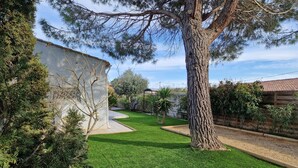 A well-maintained garden with a large tree, a white building, and a clear sky.