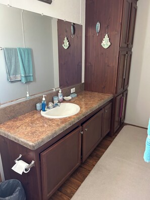 Shower, towels, toilet paper