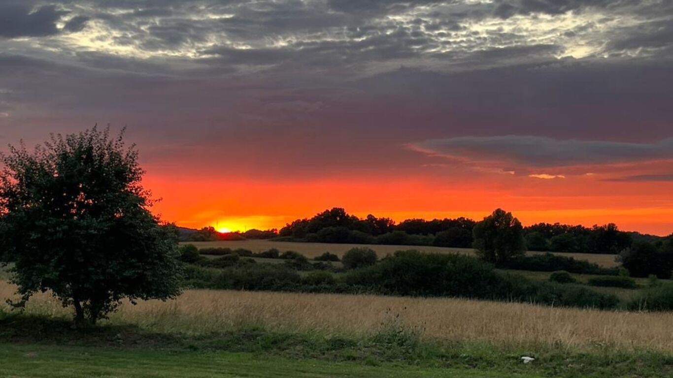 A sunset over a rural landscape with a tree in the foreground and fields in the background.
