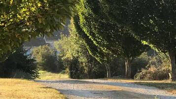 A gravel path leading through a park with trees and a building in the background.
