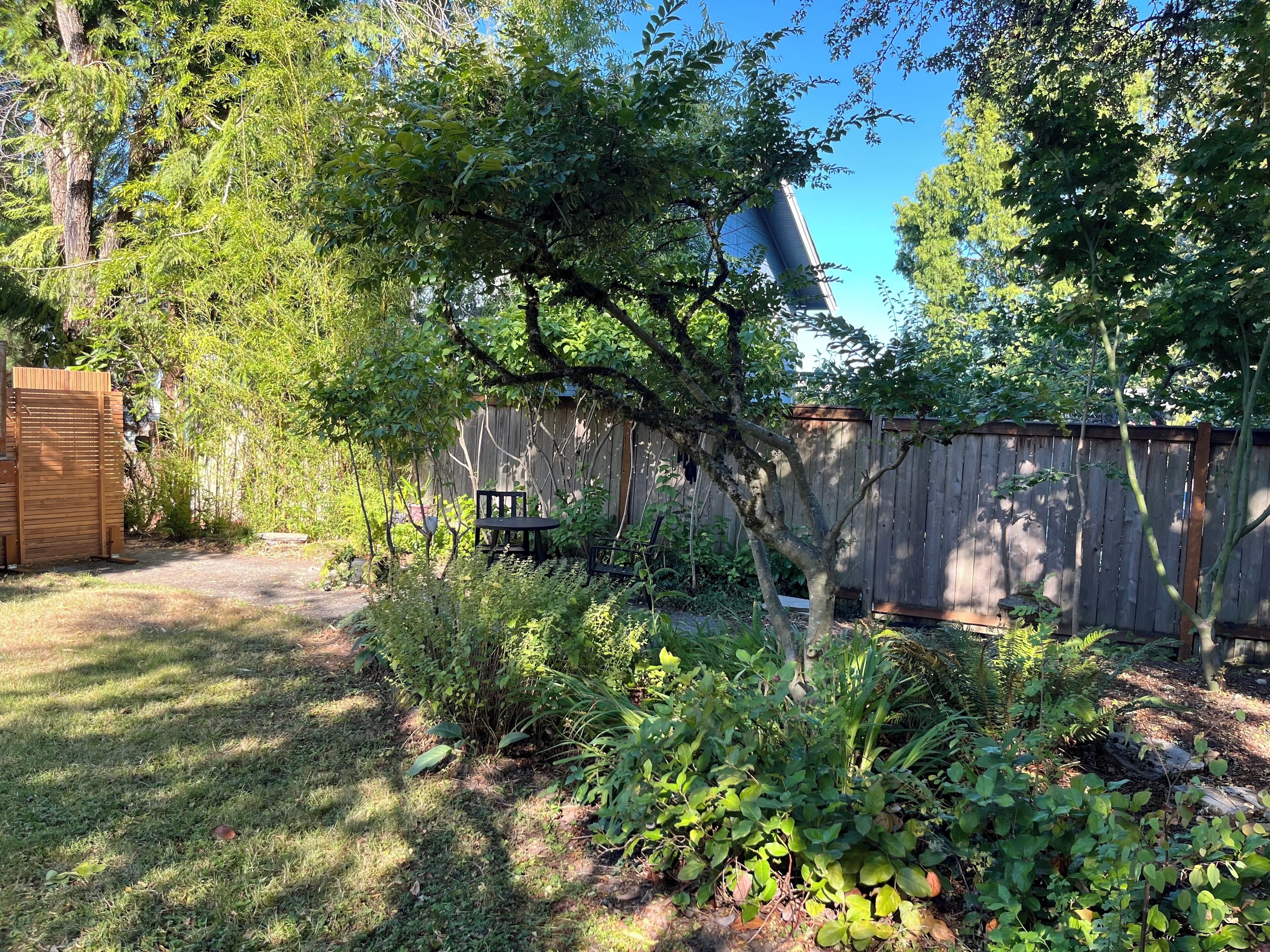 Un jardin avec une clôture en bois, un arbre et diverses plantes.