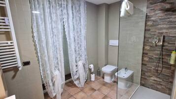 Shower, hair dryer, bidet, towels